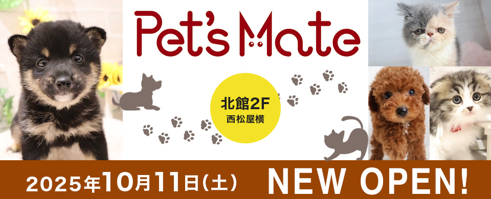 モラージュ佐賀　ペッツメイト