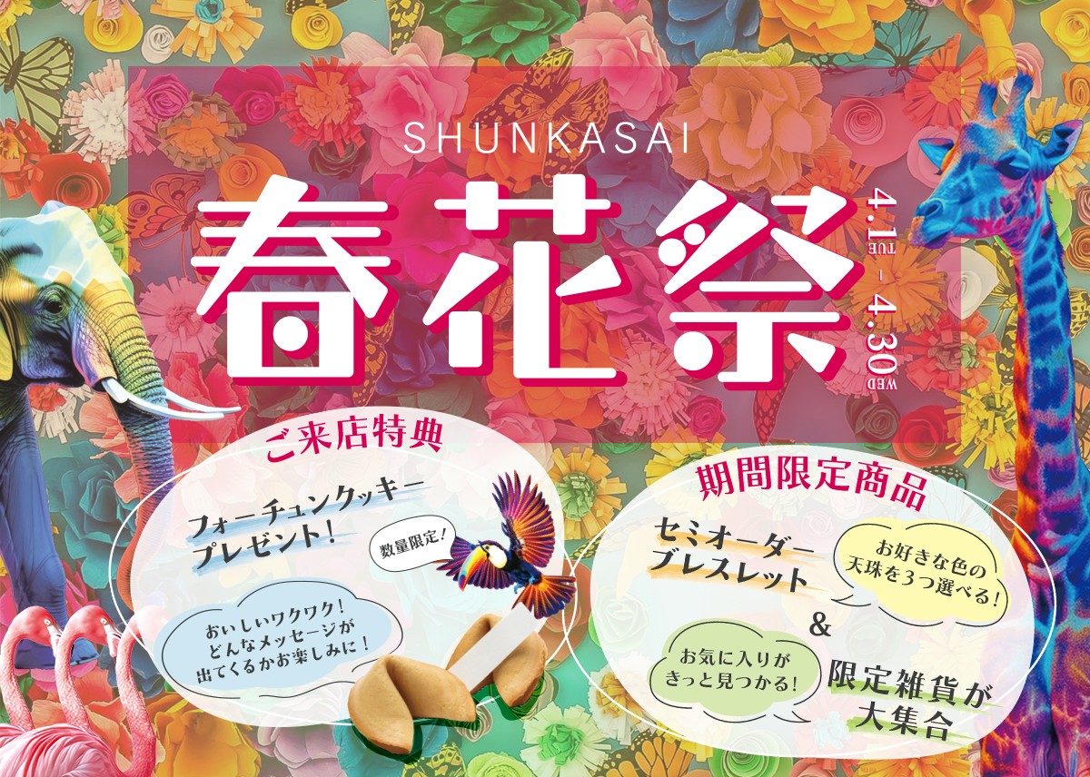 イメージ1